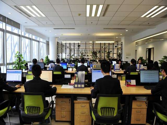 静安写字楼植物租赁工程